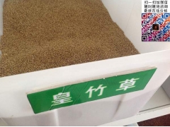 買皇竹草多少錢一斤合算？