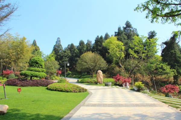 綠化工程苗木價(jià)格計(jì)算方式 綠化工程苗木價(jià)格計(jì)算方式