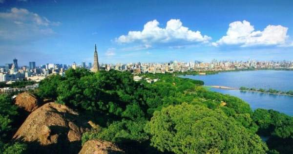 學(xué)習(xí)國外苗木行業(yè)經(jīng)驗(yàn)，搶先了解國內(nèi)市場動(dòng)態(tài)