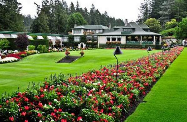 學(xué)習(xí)國外苗木行業(yè)經(jīng)驗(yàn)，搶先了解國內(nèi)市場動(dòng)態(tài)