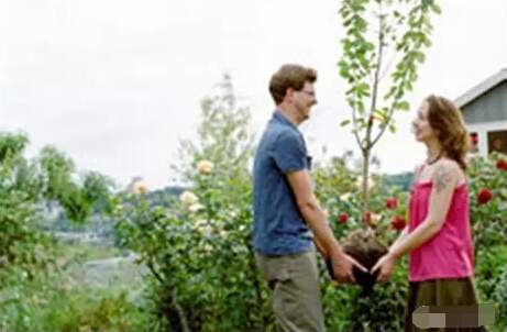 求愛(ài)要栽樹(shù)