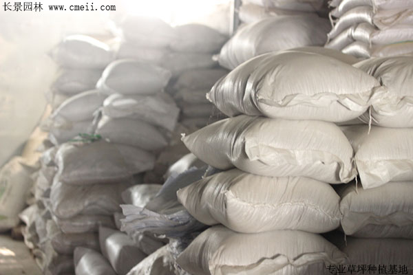 草坪圖片 草坪圖片