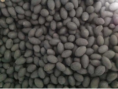 陜西哪里有賣(mài)荷花種子的？