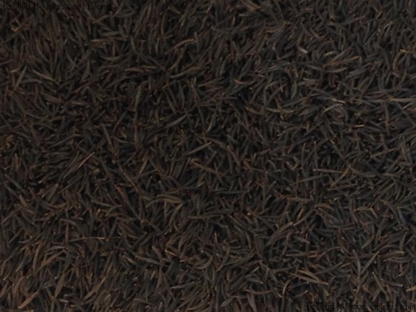 格?；ǚN子圖片