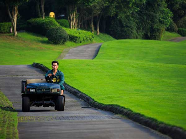 高爾夫球場草坪圖片
