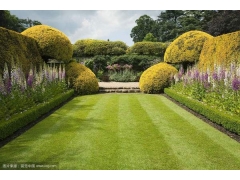花園草坪_庭院家庭_別墅私家園林
