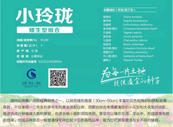 矮生型的野花組合_圖片_種子價(jià)格 矮生型的野花組合_圖片_種子價(jià)格