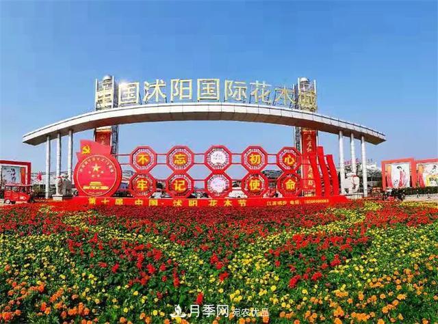 值得收藏！這些全國著名苗木產地你知道幾個？