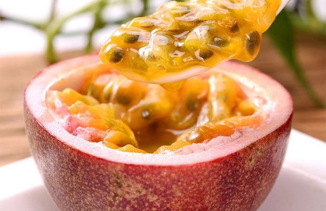 南方種植什么木材樹好?適合南方種植的樹有哪些?