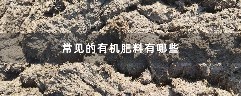 常見的有機(jī)肥料有哪些